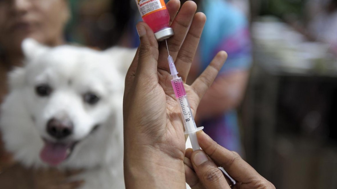Vaccinations