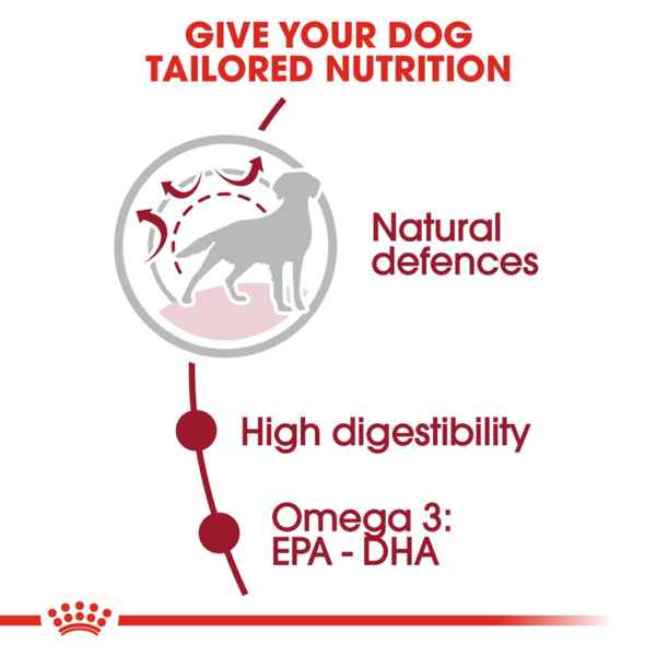 Royal Canin Dry Dog Food for Medium Adult - Image 3