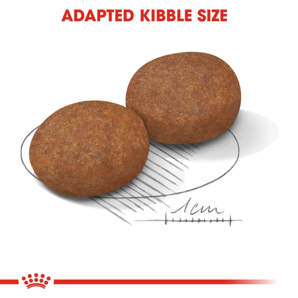 Royal Canin Dry Dog Food for Medium Adult - Image 5